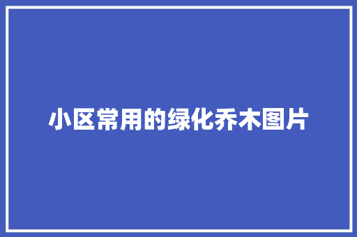 小区常用的绿化乔木图片