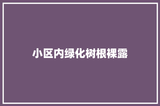 小区内绿化树根裸露