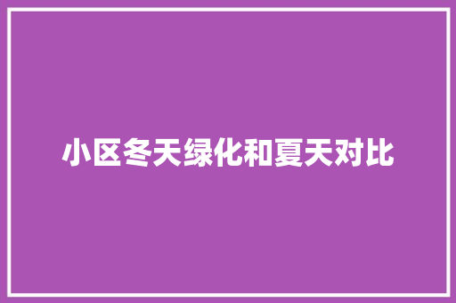 小区冬天绿化和夏天对比