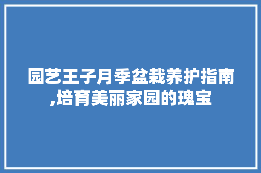 园艺王子月季盆栽养护指南,培育美丽家园的瑰宝
