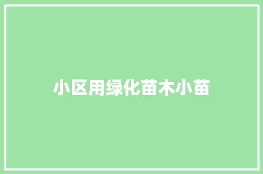 小区用绿化苗木小苗