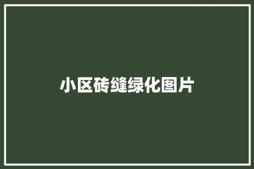 小区砖缝绿化图片