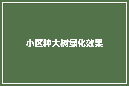 小区种大树绿化效果