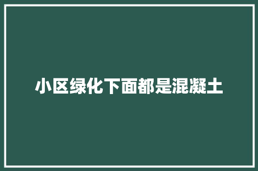 小区绿化下面都是混凝土 林木育苗