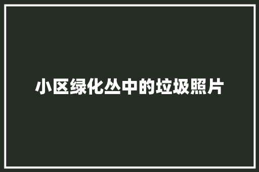 小区绿化丛中的垃圾照片
