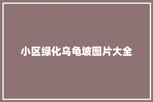 小区绿化乌龟坡图片大全