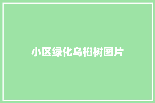 小区绿化乌桕树图片