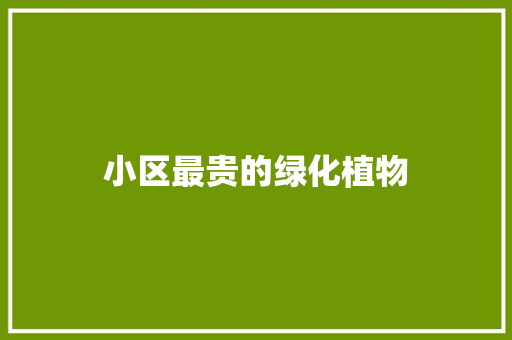 小区最贵的绿化植物