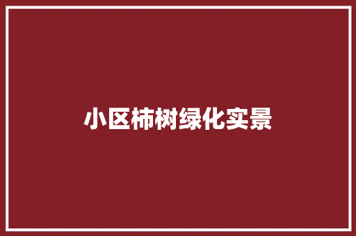 小区柿树绿化实景