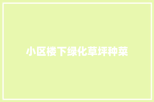 小区楼下绿化草坪种菜