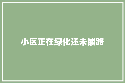 小区正在绿化还未铺路
