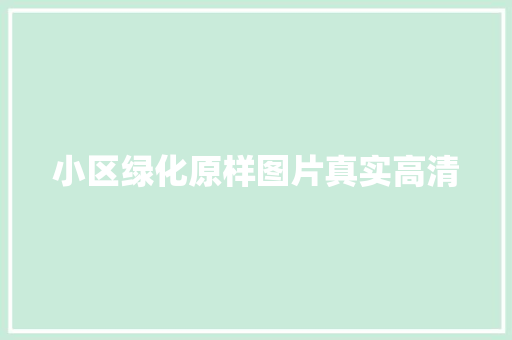 小区绿化原样图片真实高清