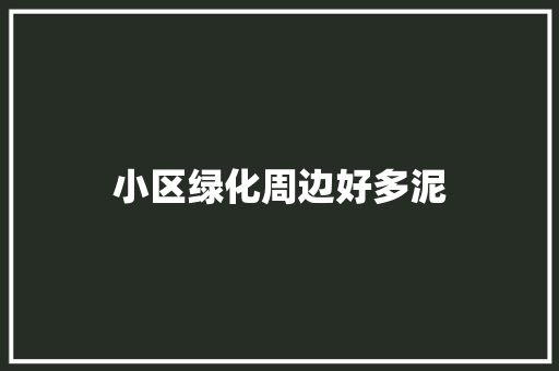 小区绿化周边好多泥