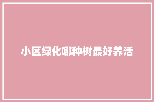 小区绿化哪种树最好养活