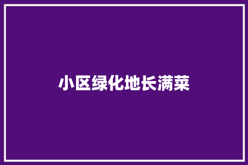 小区绿化地长满菜