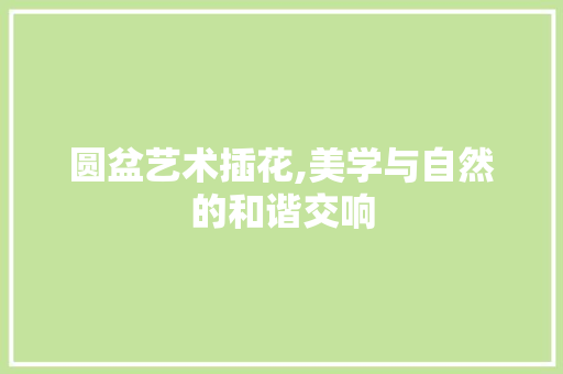 圆盆艺术插花,美学与自然的和谐交响