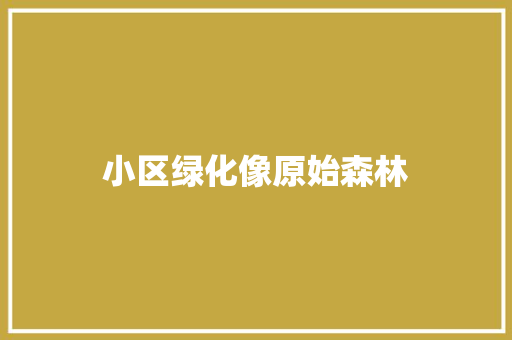 小区绿化像原始森林