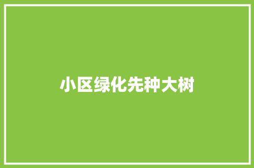 小区绿化先种大树
