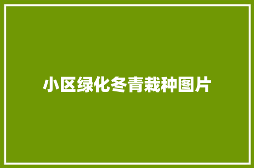 小区绿化冬青栽种图片