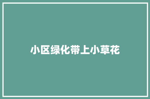 小区绿化带上小草花