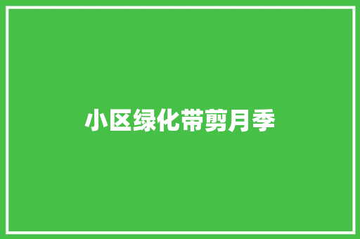 小区绿化带剪月季