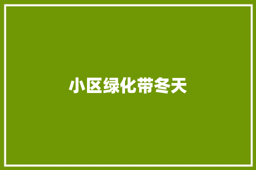 小区绿化带冬天