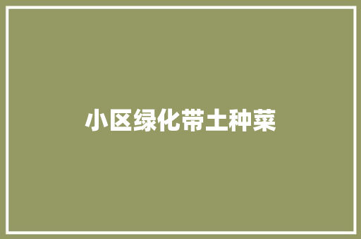 小区绿化带土种菜