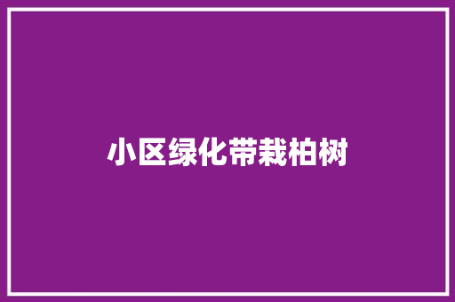 小区绿化带栽柏树