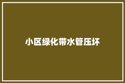 小区绿化带水管压坏
