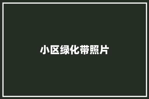 小区绿化带照片