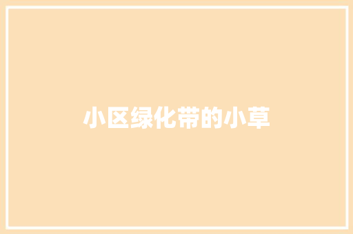 小区绿化带的小草