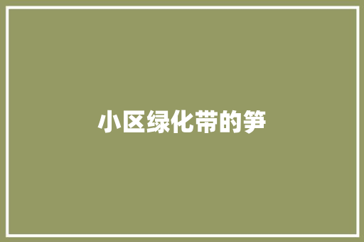 小区绿化带的笋