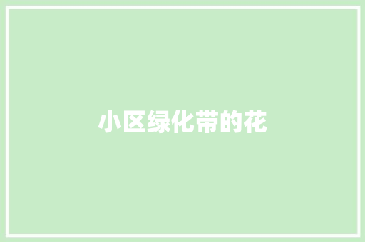 小区绿化带的花
