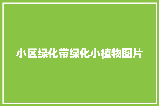 小区绿化带绿化小植物图片
