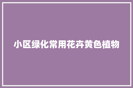 小区绿化常用花卉黄色植物