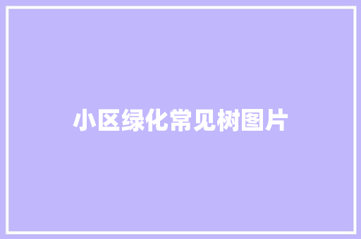 小区绿化常见树图片