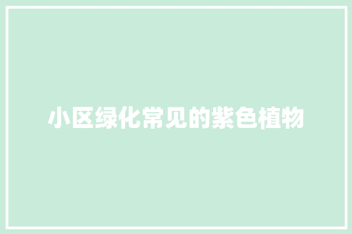 小区绿化常见的紫色植物