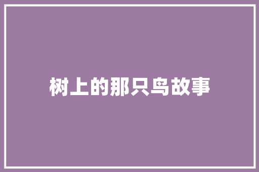 小区绿化夏季怎么防涝