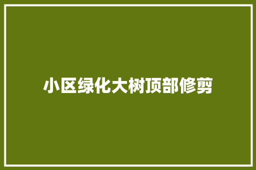 小区绿化大树顶部修剪