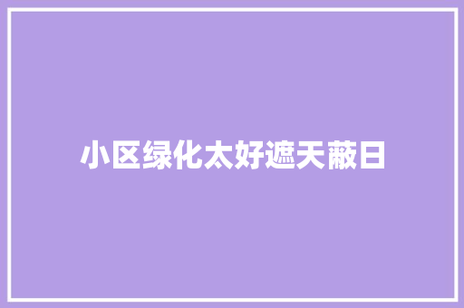 小区绿化太好遮天蔽日