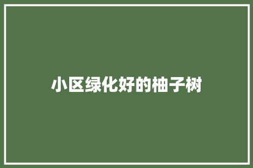 小区绿化好的柚子树