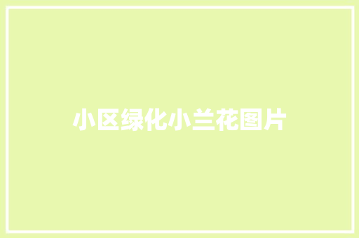 小区绿化小兰花图片