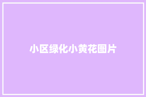 小区绿化小黄花图片