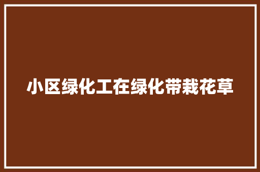 小区绿化工在绿化带栽花草