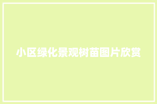 小区绿化景观树苗图片欣赏