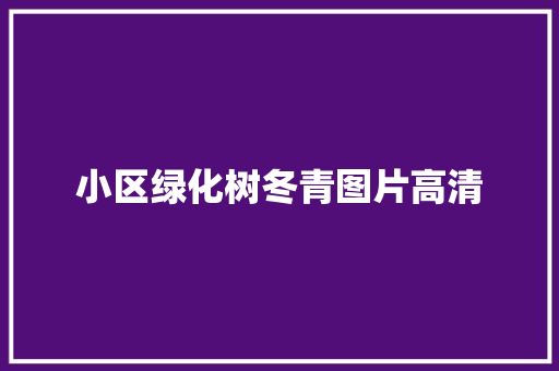 小区绿化树冬青图片高清