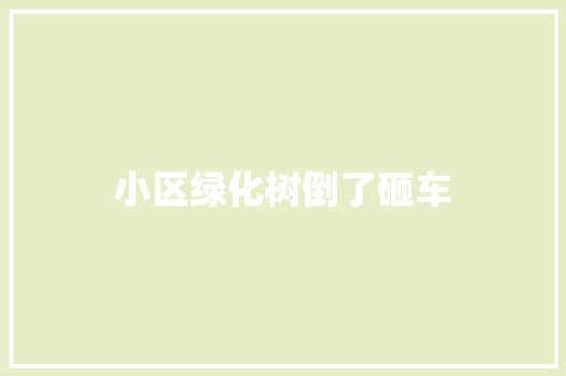 小区绿化树倒了砸车