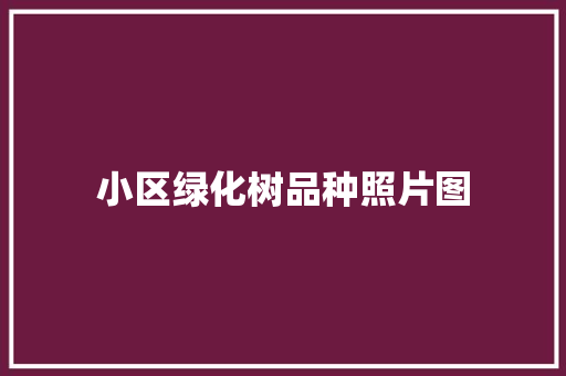 小区绿化树品种照片图