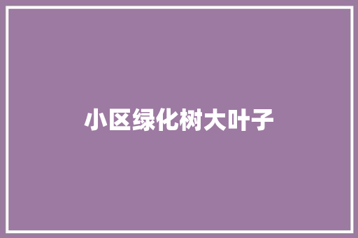 小区绿化树大叶子