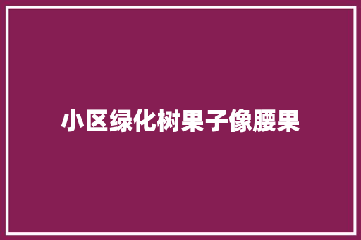 小区绿化树果子像腰果